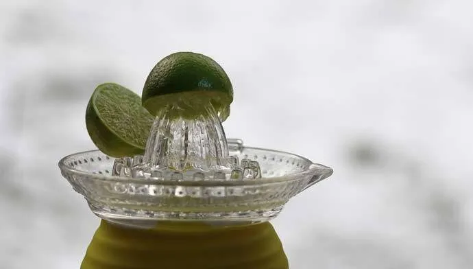 Citrus juicer