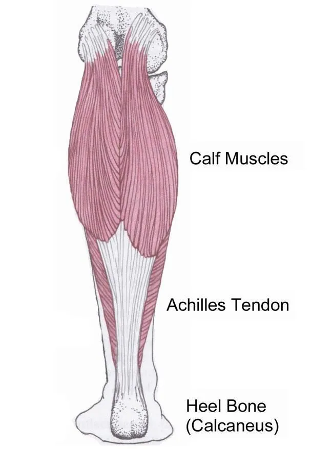 ankle-mobility-exercises-3 Ankle Mobility Exercises 3