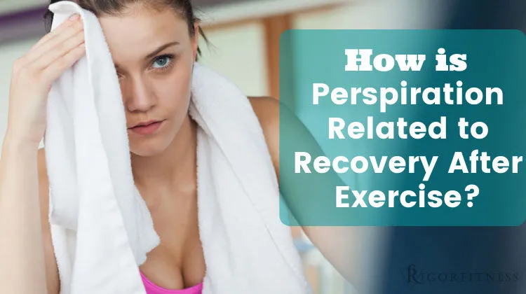 How is Perspiration Related to Recovery After Exercise