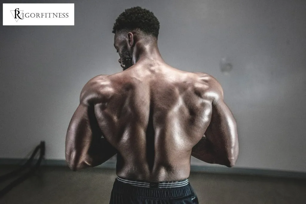 A Brief Glance At The Finest Muscle Gainer & mass gainer supplements