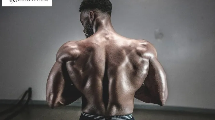 A Brief Glance At The Finest Muscle Gainer & mass gainer supplements