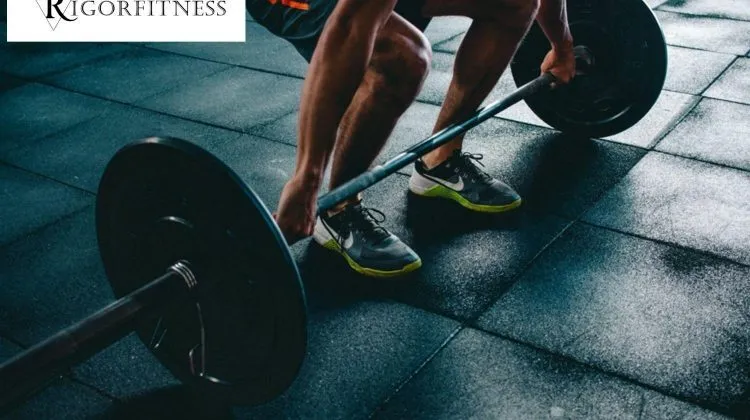Can We Burn Fat and Gain Muscle At The Same Time
