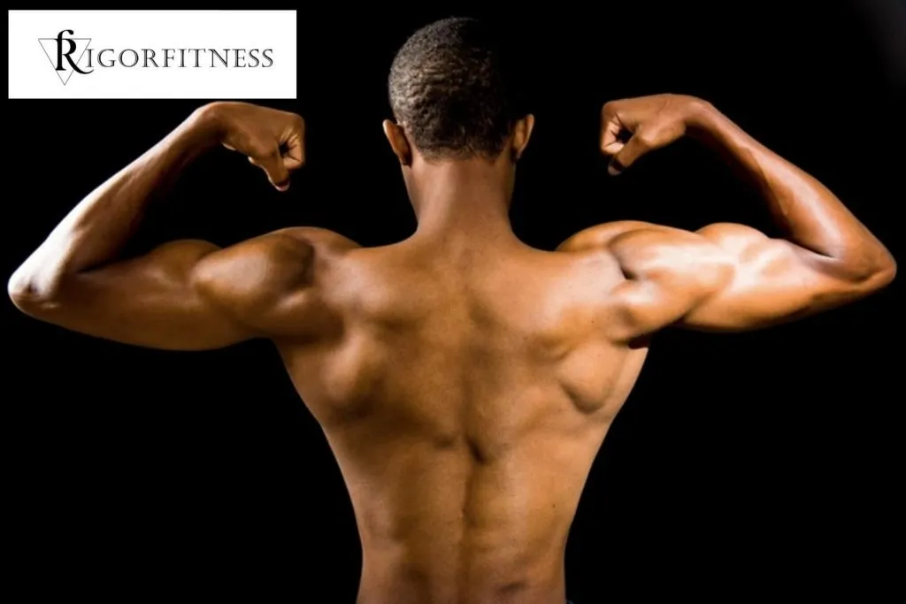 Five Ways to Build Muscle Fast Basic Guide for Beginners