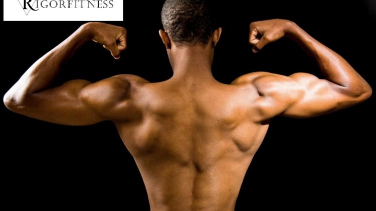 Five Ways to Build Muscle Fast Basic Guide for Beginners