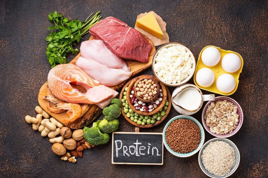 Protein Is Irreplaceable