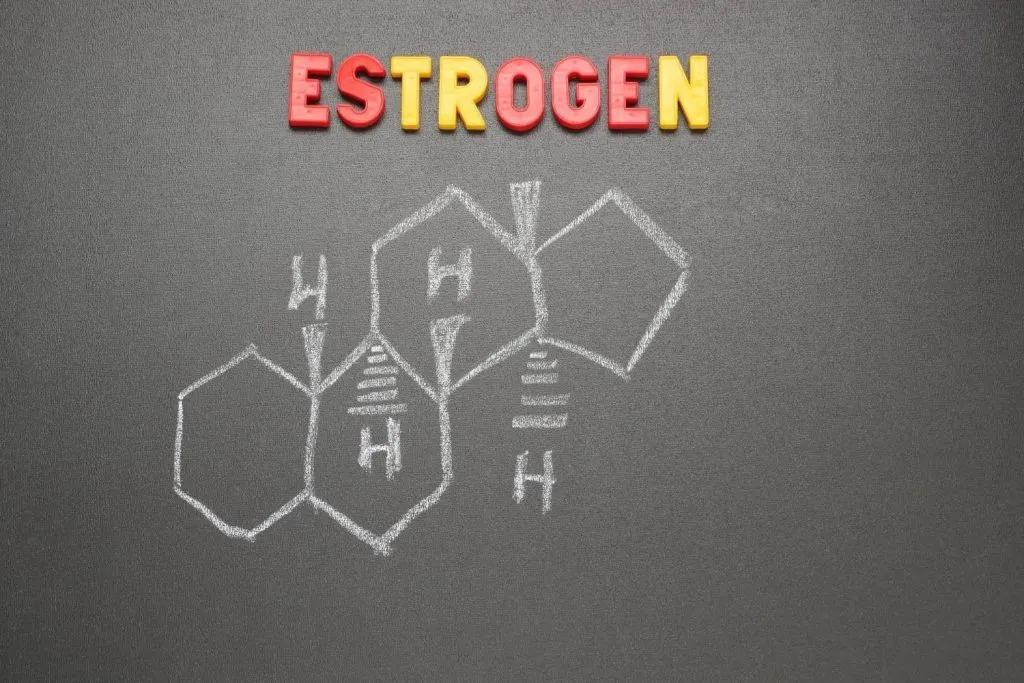 Female Sex Hormone Estrogen