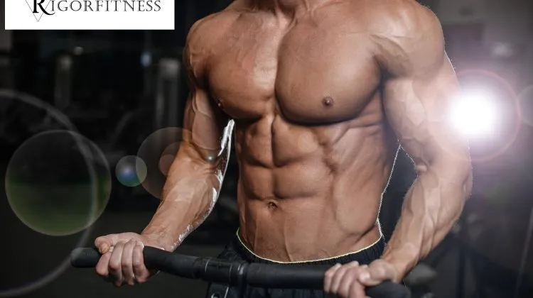 How To Gain Muscle