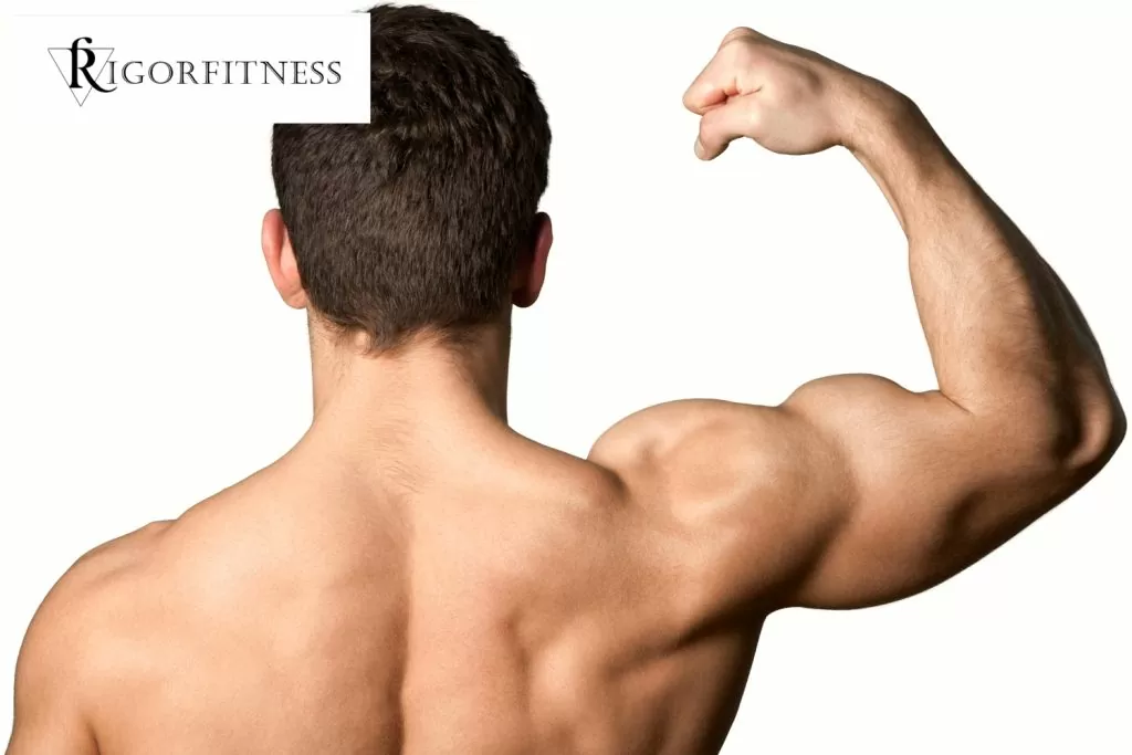 Signs Of Muscle Growth