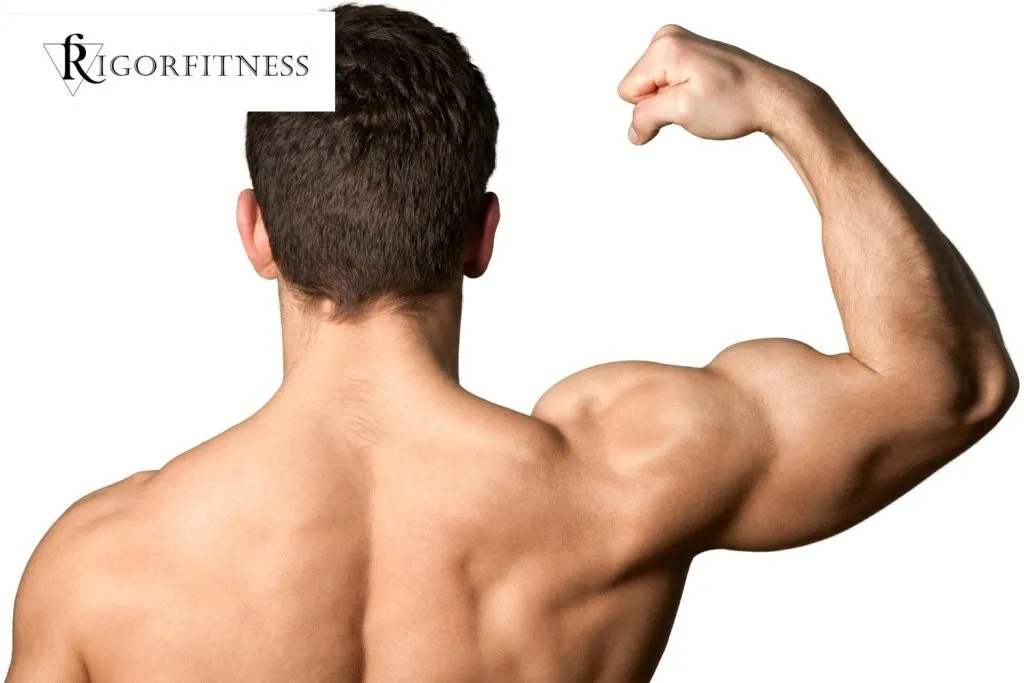 Signs Of Muscle Growth