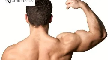 Signs Of Muscle Growth