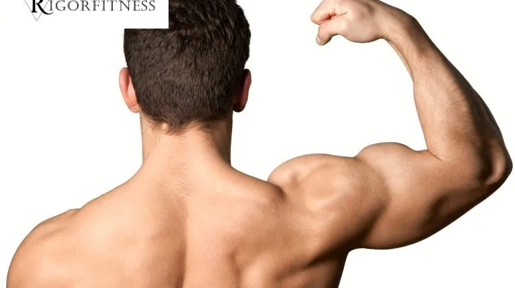 Signs Of Muscle Growth