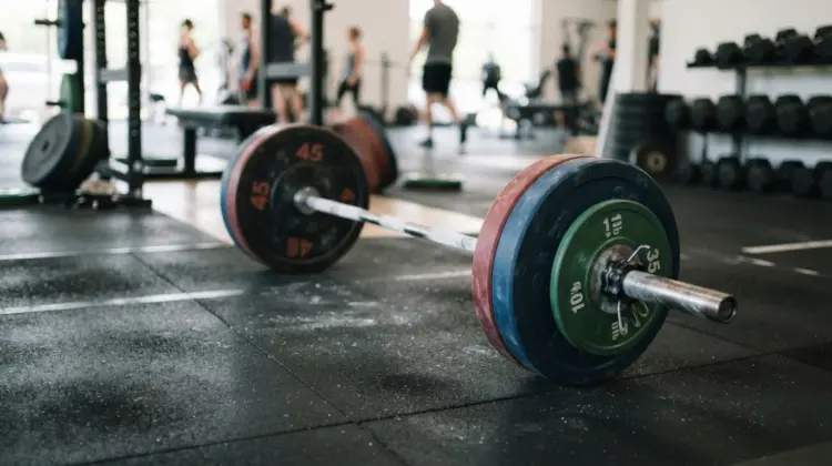 Barbell with weight plates for deadlift training